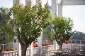Hotel Duga Uvala, Duga Uvala