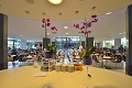 Hotel Mediteran, Pore