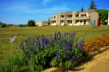 Apartmny Polynesia Plava Laguna, Umag