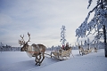 Apartmny Levi Alpine Chalets, Levi