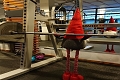 Lapland Hotels Saaga, Yllsjrvi