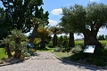 Chteau Pape Clment, Pessac