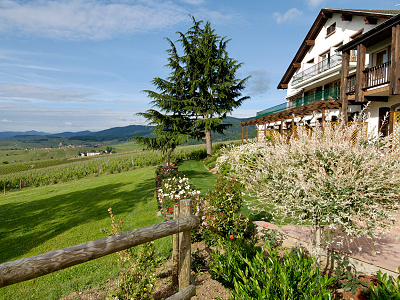ubytovanie Hotel Le Clos Saint Vincent, Ribeauvill