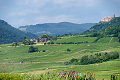 Hotel Le Clos Saint Vincent, Ribeauvill