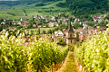 Hotel Le Clos Saint Vincent, Ribeauvill
