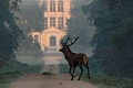 Hotel Relais Des Trois Chteaux, Cour-Cheverny