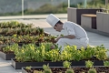 Royal Champagne Hotel & Spa, Champillon