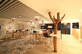 Hotel Mahogany & Spa, Le Gosier