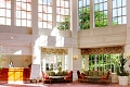 Disneyland Hotel, Chessy