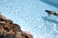 Hotel Marinca & Spa, Olmeto