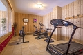 Apartmny Chalet Le Panoramic