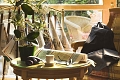 Hotel Le Dauphin & Le Spa du Prieur, Caen