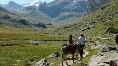 Rezidencia L'Ore des Neiges, Peisey-Vallandry