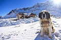 Hotel Des Glaciers, Le Monetier les Bains