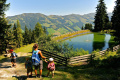 Hotel Zur Post, Alpbach