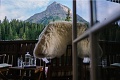 Hotel Lech & Penzin Chesa Rosa, Lech am Arlberg