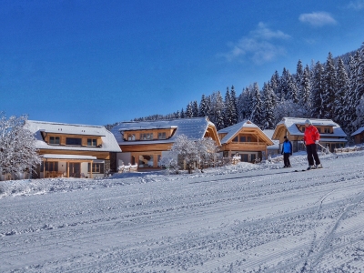 ubytovanie Chaty Trattlers Hof  - Bad Kleinkirchheim