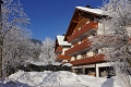 Apatmny Bergblick, Gosau