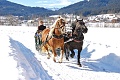 Hotel Sommerhof, Gosau