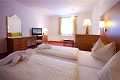 Vitalhotel Gosau, Gosau