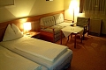 Vitalhotel Gosau, Gosau