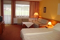 Vitalhotel Gosau, Gosau