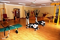 Vitalhotel Gosau, Gosau