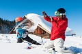 Vitalhotel Gosau, Gosau