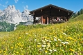 Apartmny Landhaus Jger a Haus Rtelstein, Filzmoos
