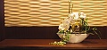 Hotel Cesta Grand, Bad Gastein