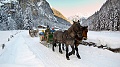 Gasthof Walcher, Dorfgastein