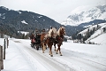 Alm Resort bergossene, Dienten am Hochknig