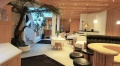 Aparthotel Aurikel Corso, Ischgl