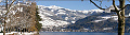 Penzin Alpenrose, Zell am See