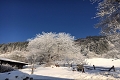 Gasthof Limberghof, Zell am See