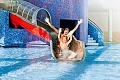 Hotel Tauern Spa Kaprun, Kaprun