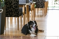 Club Hotel am Kreischberg, St. Georgen am Kreischberg