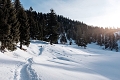 Chaty Lachtal, Lachtal