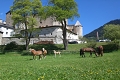 Apartmny Schlossmhle, Nauders