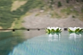 Josl Mountain Lounging, Obergurgl