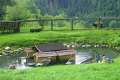 Gasthof Hammerwirt & Forellenhof, Untertauern