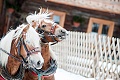 Hotel Hirscher, Altenmarkt im Pongau