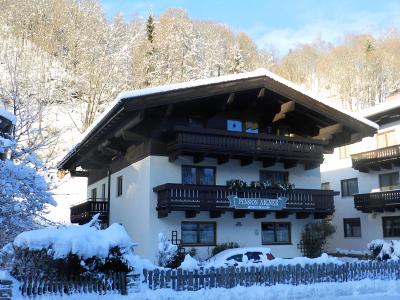 Penzin Aigner - Saalbach