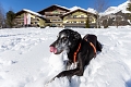 Hotel Almfrieden, Ramsau am Dachstein