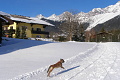 Penzin Erzherzog Johann, Ramsau am Dachstein