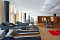 Hotel Falkensteiner Schladming, Schladming