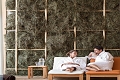 Hotel Falkensteiner Schladming, Schladming