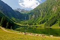 Aparthotel Ferienalm, Schladming