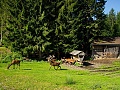 Hotel Landauerhof, Schladming - Rohrmoos