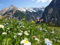 Hotel Landauerhof, Schladming - Rohrmoos